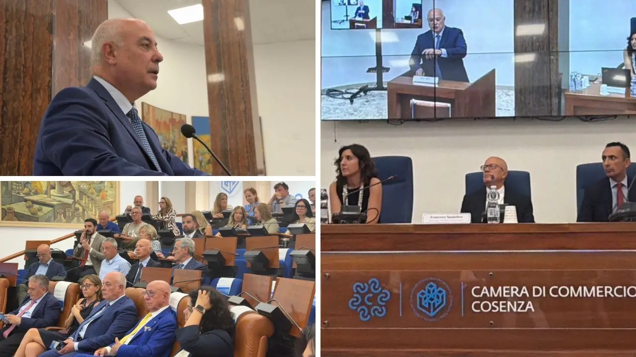 Rapporto banca d’Italia, la Camera di Commercio di Cosenza: «Il Sud non è fermo»\n