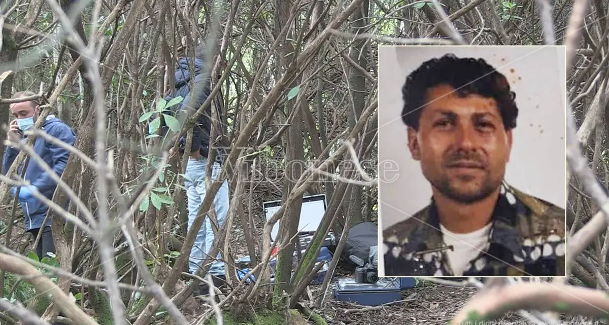 Antonino Loielo ucciso e nascosto nei boschi, in appello dimezzata la pena per il figlio accusato di omicidio e occultamento\n