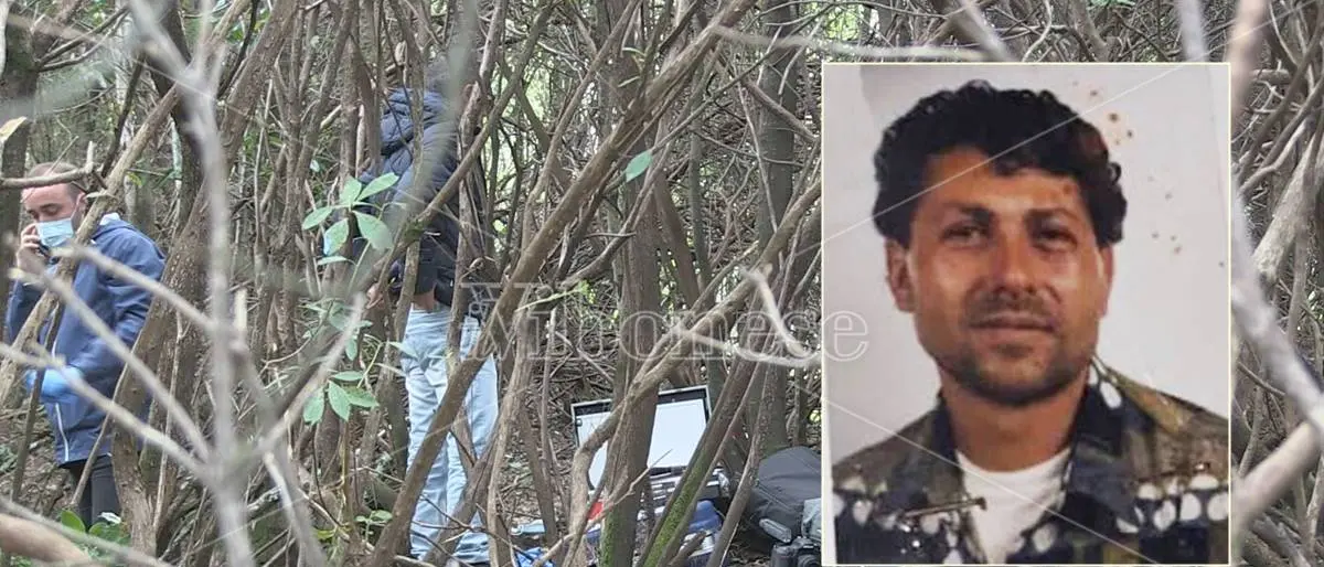 Antonino Loielo ucciso e nascosto nei boschi, in appello dimezzata la pena per il figlio accusato di omicidio e occultamento\n