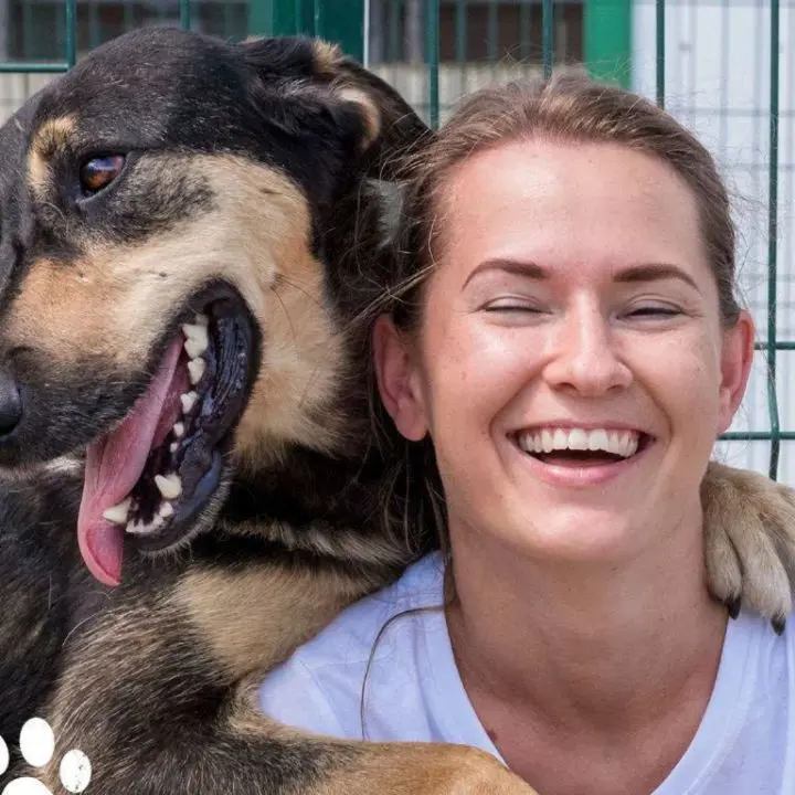 Cosenza, torna Qua la zampa in piazza per incentivare le adozioni dei cani\n