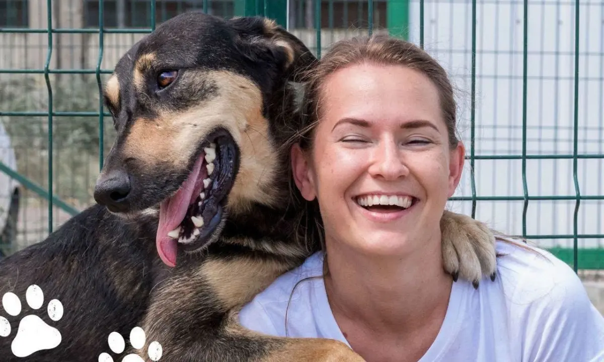 Cosenza, torna Qua la zampa in piazza per incentivare le adozioni dei cani\n