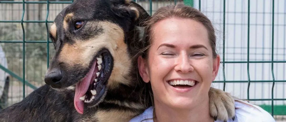 Cosenza, torna Qua la zampa in piazza per incentivare le adozioni dei cani\n