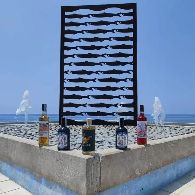 Fuscaldo Sun Spirit al via: due giorni tra amari, liquori e musica\n