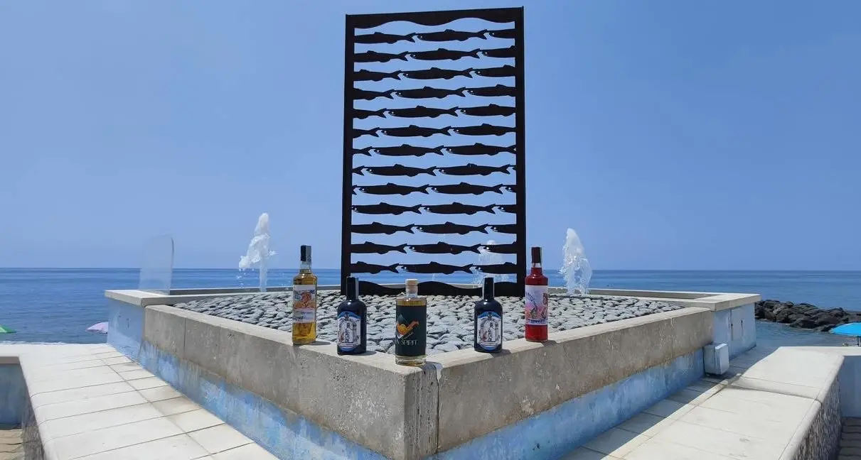 Fuscaldo Sun Spirit al via: due giorni tra amari, liquori e musica\n