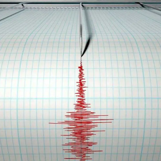<p>Terremoto nel Catanzarese: scossa di magnitudo 3.2 vicino Petronà. Il sindaco: «Nessun danno, situazione sotto controllo»</p>