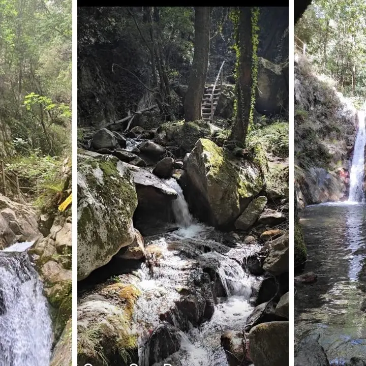 Vibonese da scoprire, dal cuore delle Serre all’Aspromonte:\u00A0un percorso fatato lungo il Sentiero della Scialata\n