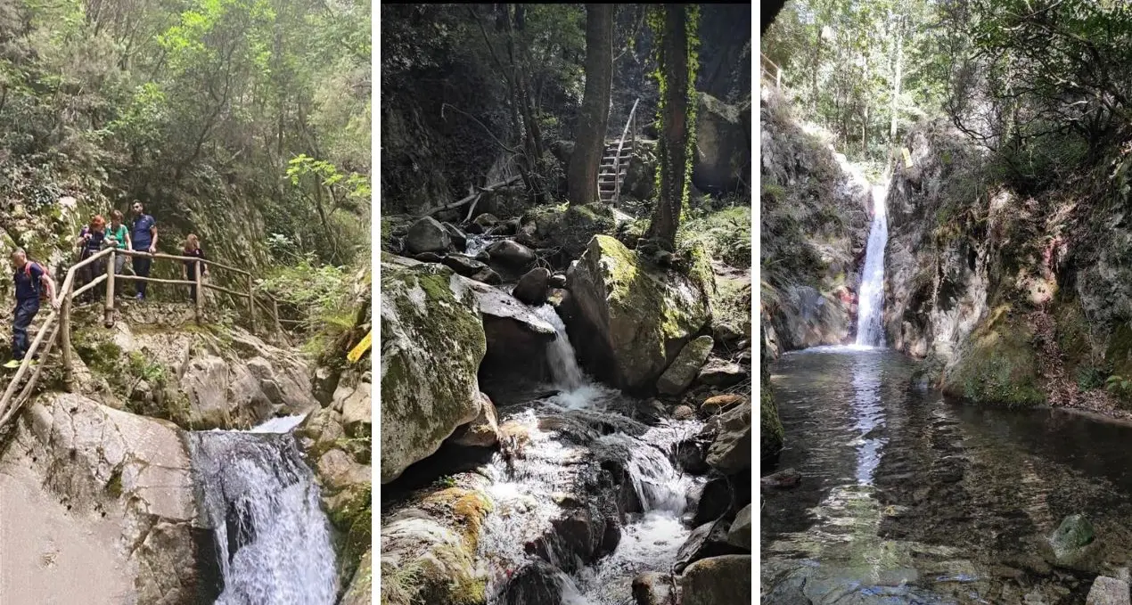 Vibonese da scoprire, dal cuore delle Serre all’Aspromonte:\u00A0un percorso fatato lungo il Sentiero della Scialata\n