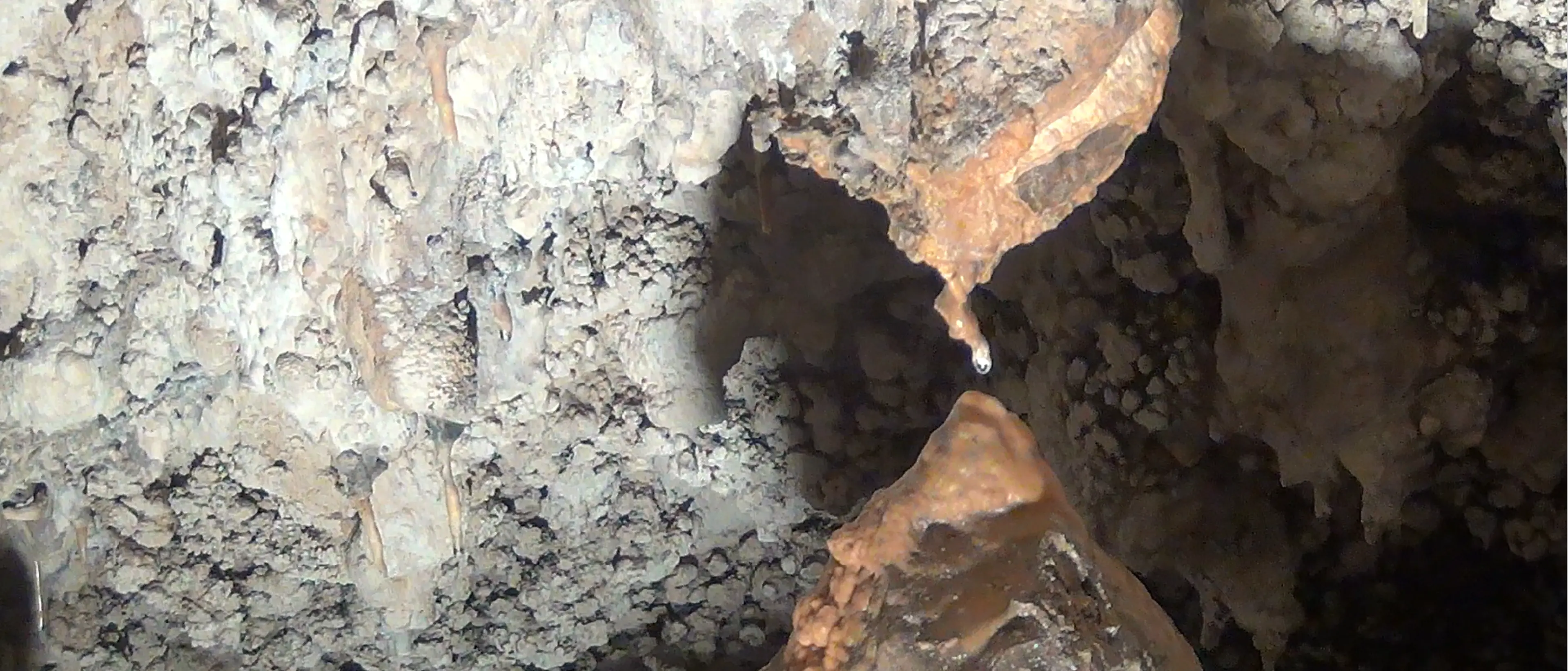 Grotte di Sant’Angelo a Cassano All’Ionio, estate tra visite notturne, cielo e laboratori per bambini\n
