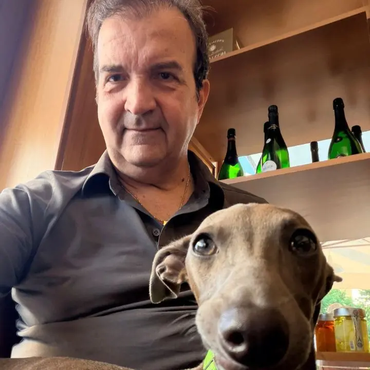 Caccia:\u00A0la legge “sparatutto” passa al Senato, ma Mario Occhiuto rivendica il suo voto contrario\n