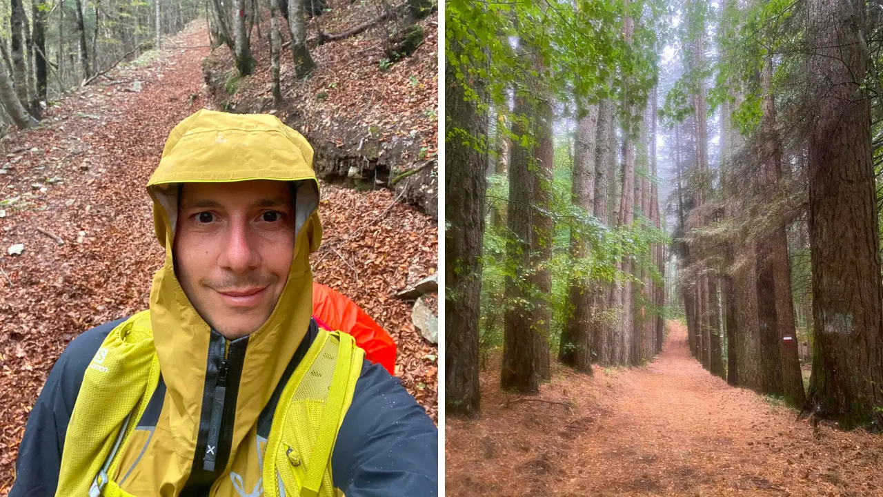 <p>Il <span style=\"color:hsl(0, 75%, 60%);\">cammino che cura</span>, dalla Lombardia alla Calabria per scoprire le bellezze dell’Aspromonte: il diario di Alessandro </p>