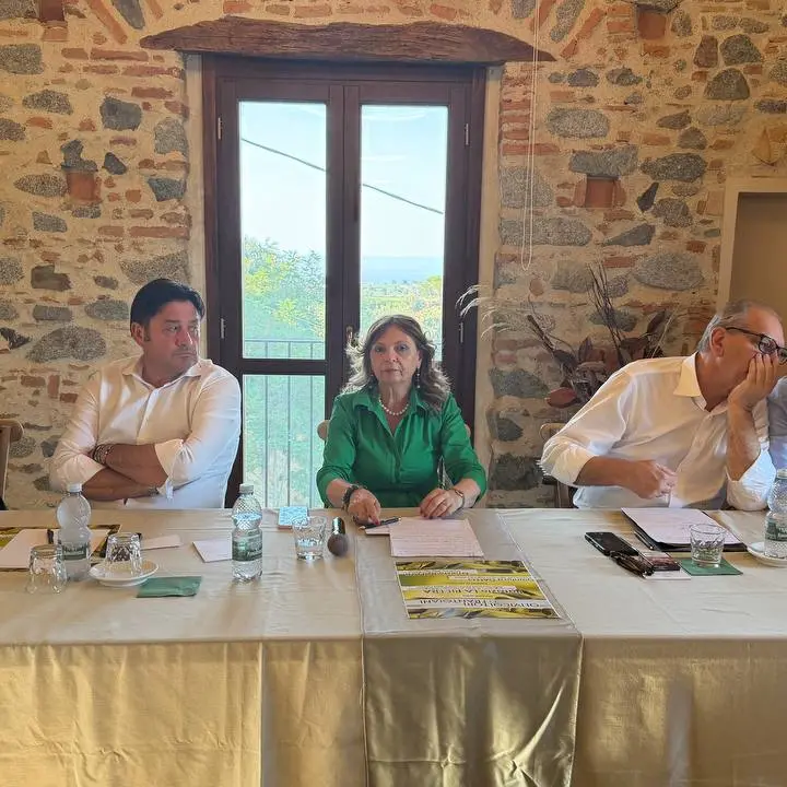 Olivicoltura, confronto a Corigliano-Rossano: istituzioni e imprese insieme per rilanciare il settore\n