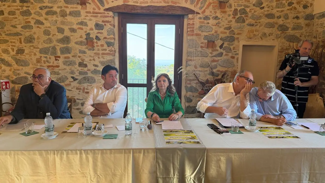 Olivicoltura, confronto a Corigliano-Rossano: istituzioni e imprese insieme per rilanciare il settore\n