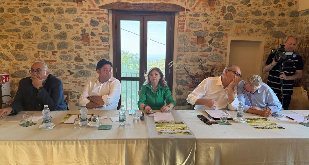 Olivicoltura, confronto a Corigliano-Rossano: istituzioni e imprese insieme per rilanciare il settore\n