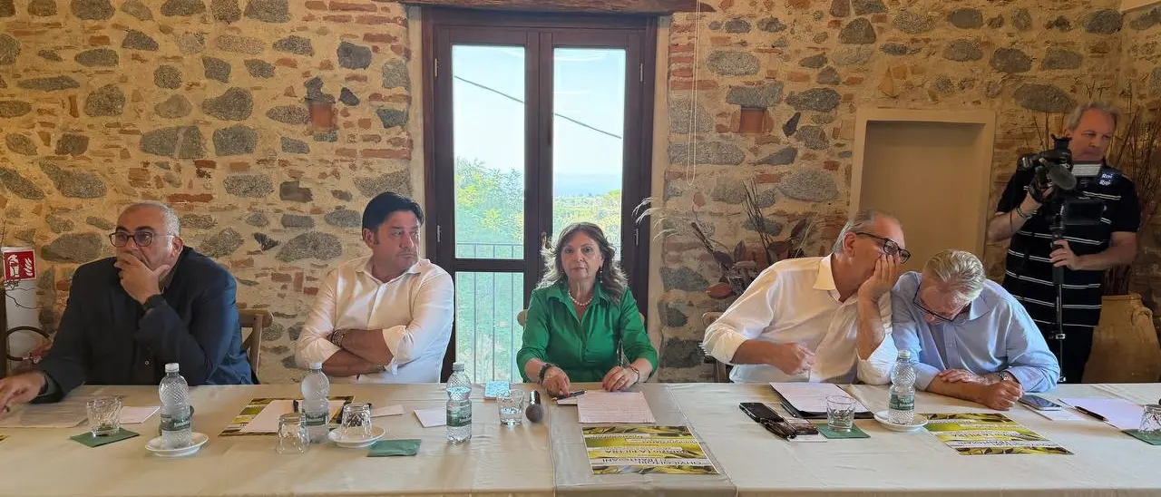 Olivicoltura, confronto a Corigliano-Rossano: istituzioni e imprese insieme per rilanciare il settore\n