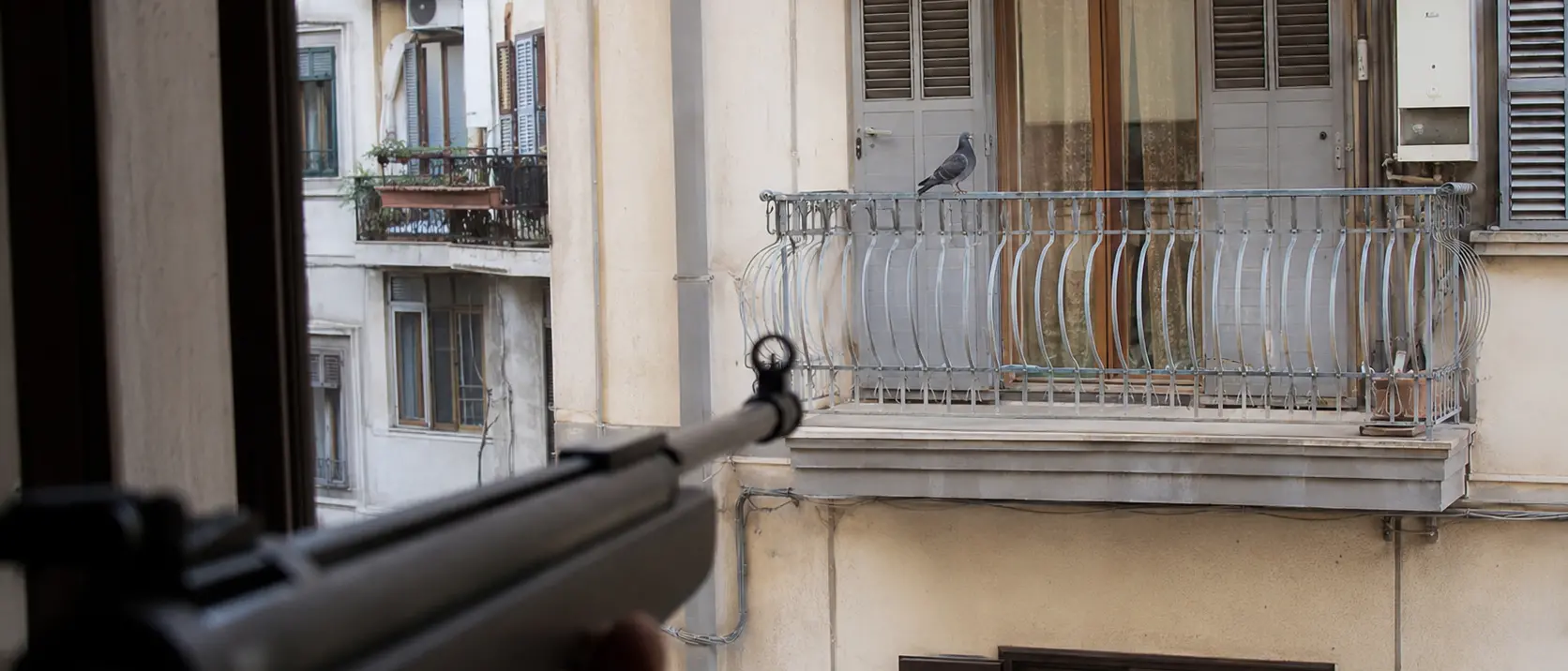 Vibo, prende a fucilate gli uccelli sul balcone della vicina:\u00A0denunciato un uomo, sequestrata una carabina ad aria compressa\n