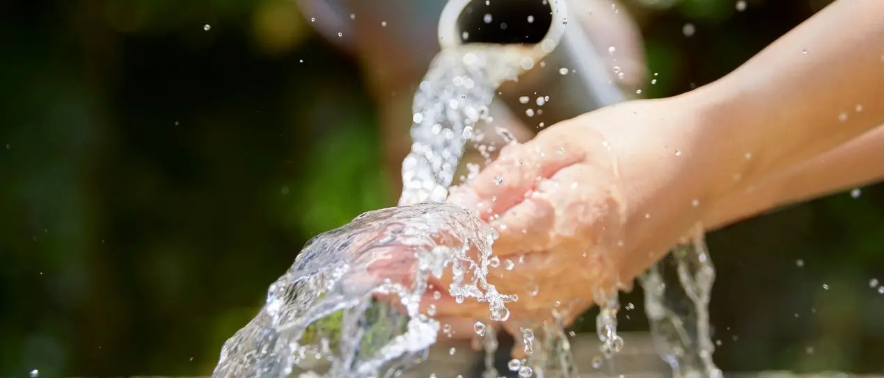 Crisi idrica in Calabria, Cia-agricoltori attacca: «Acqua dispersa in mare mentre città e campagne restano a secco»\n