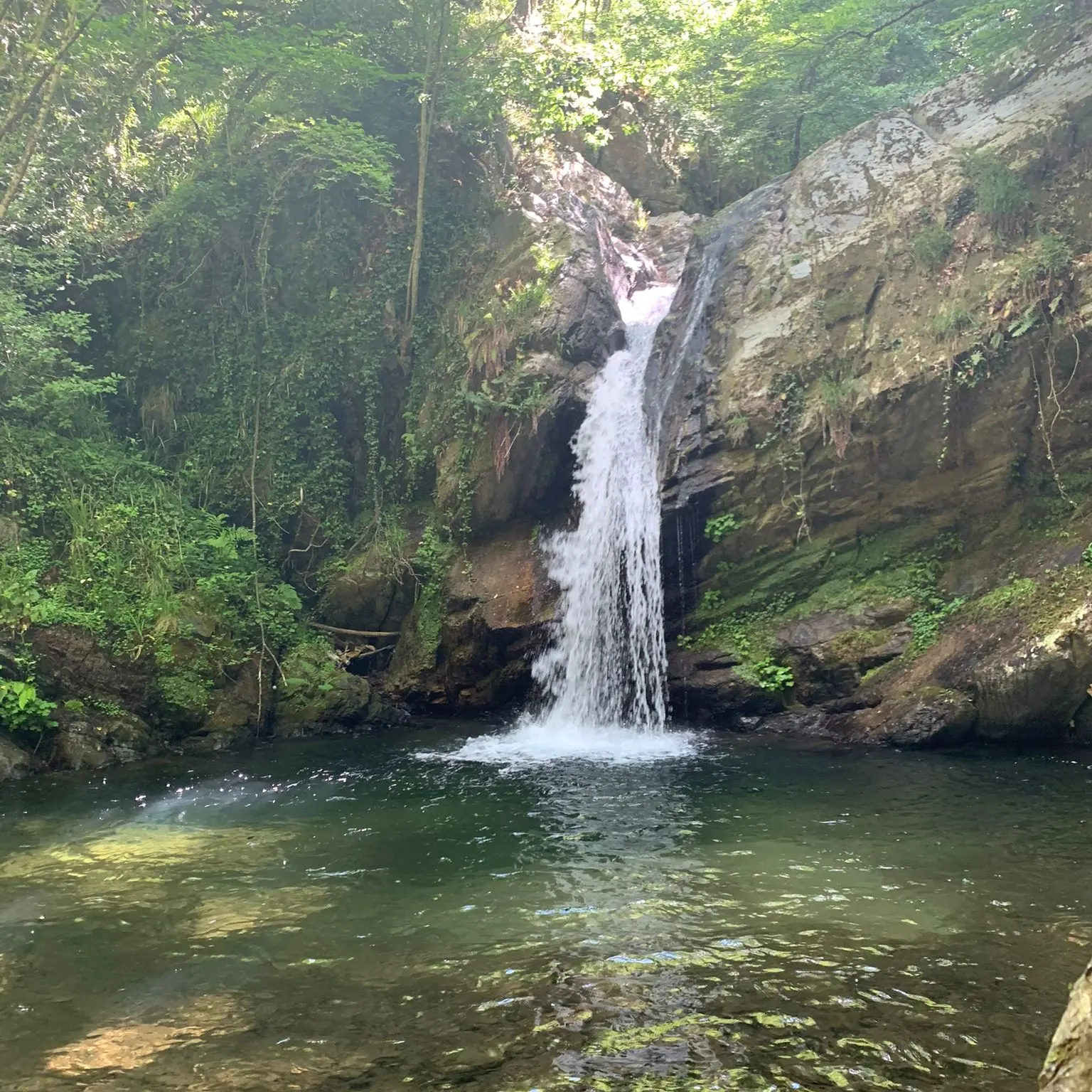 Al Mabos torna Sense: quest’anno la residenza d’arte contemporanea si terrà lungo il fiume Melito, nell’area dedicata a Gioacchino da Fiore\n
