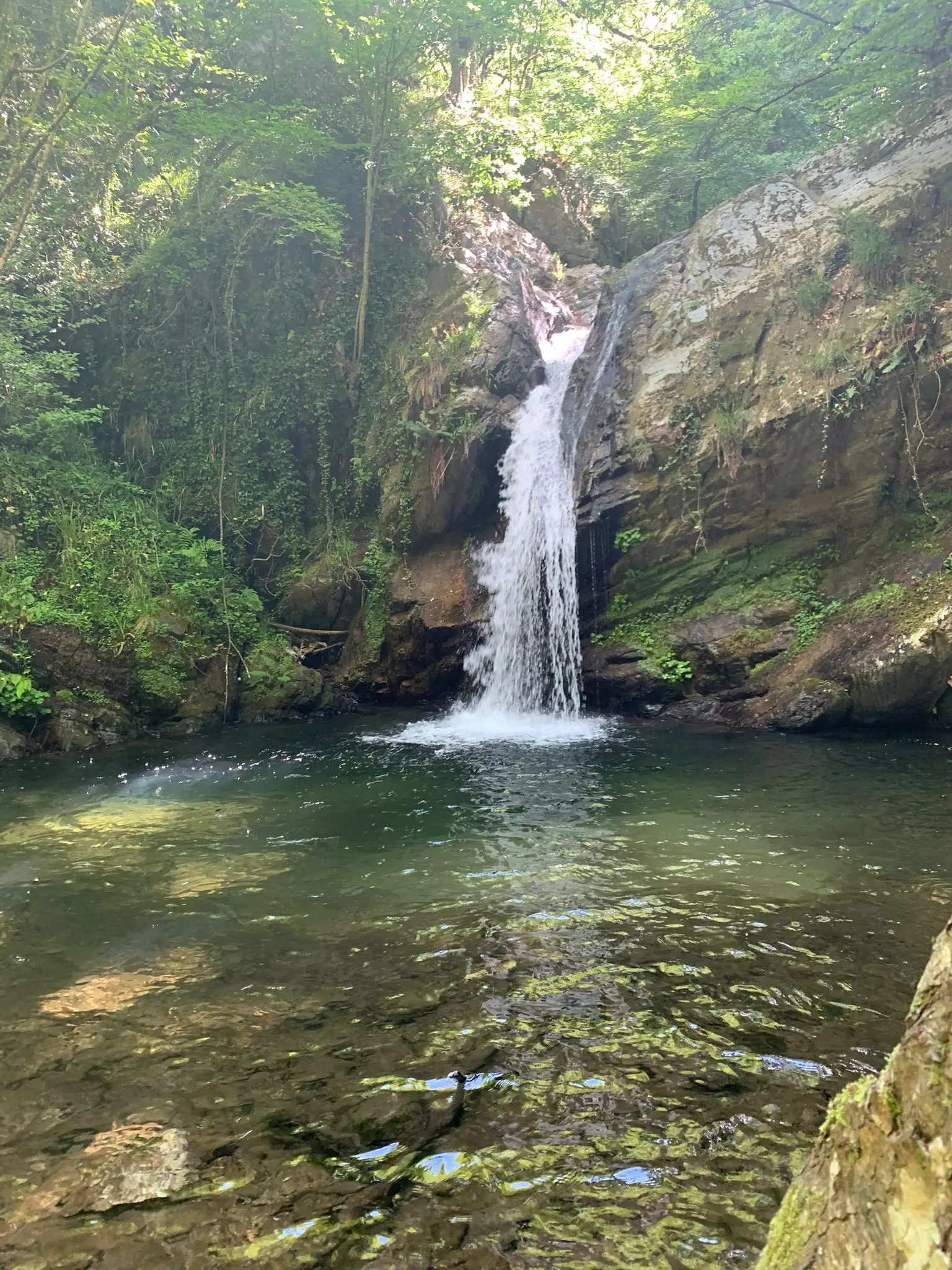 Al Mabos torna Sense: quest’anno la residenza d’arte contemporanea si terrà lungo il fiume Melito, nell’area dedicata a Gioacchino da Fiore\n