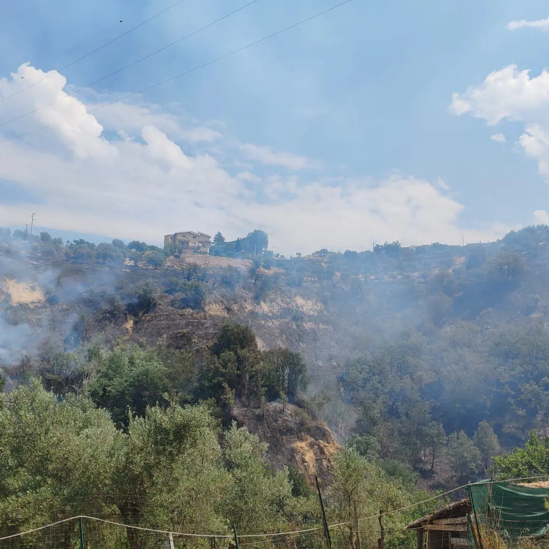 Incendio a Zumpano, fiamme minacciano le abitazioni tra San Michele e Motta | VIDEO