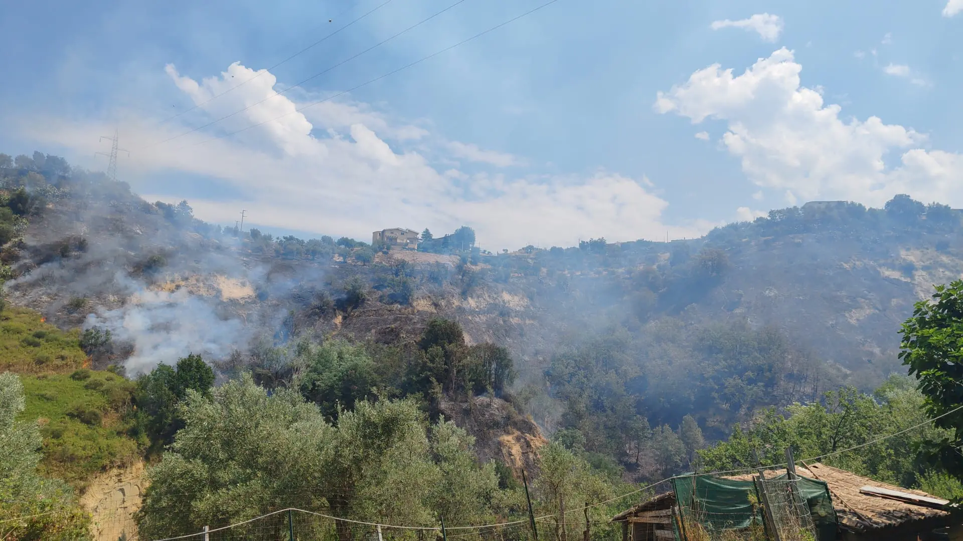 Incendio a Zumpano, fiamme minacciano le abitazioni tra San Michele e Motta | VIDEO