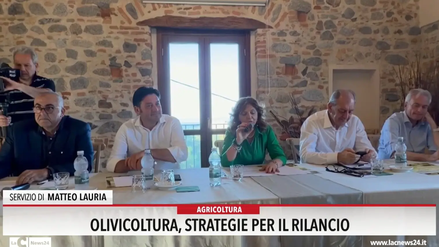 Olivicoltura, strategie per il rilancio