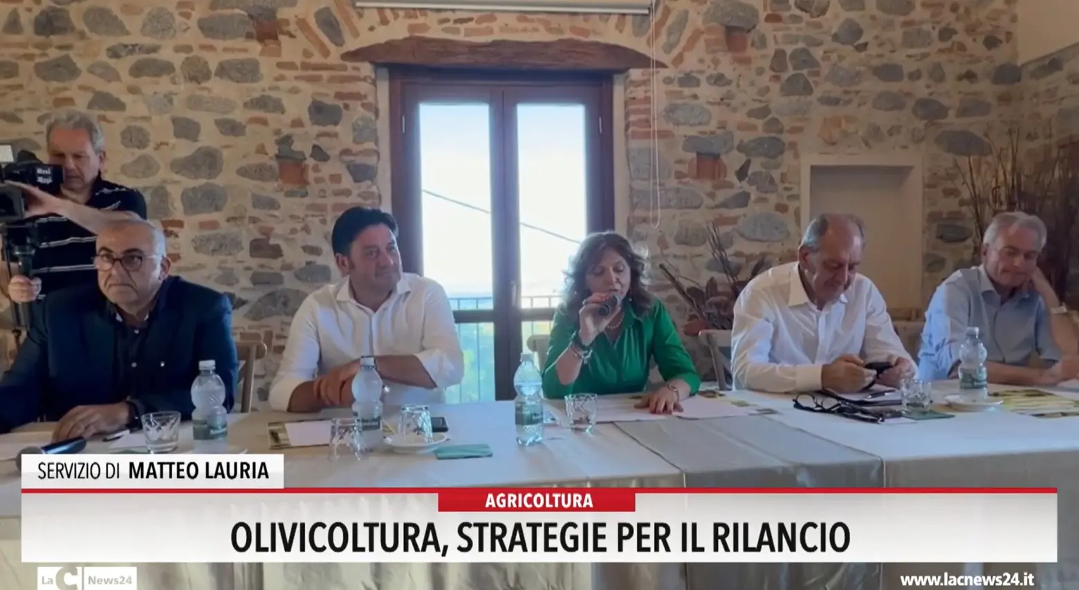 Olivicoltura, strategie per il rilancio