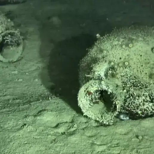 Trovato relitto del V-IV secolo a.C. con 300 anfore al largo della Calabria: la scoperta nel corso di uno studio per un parco eolico\n