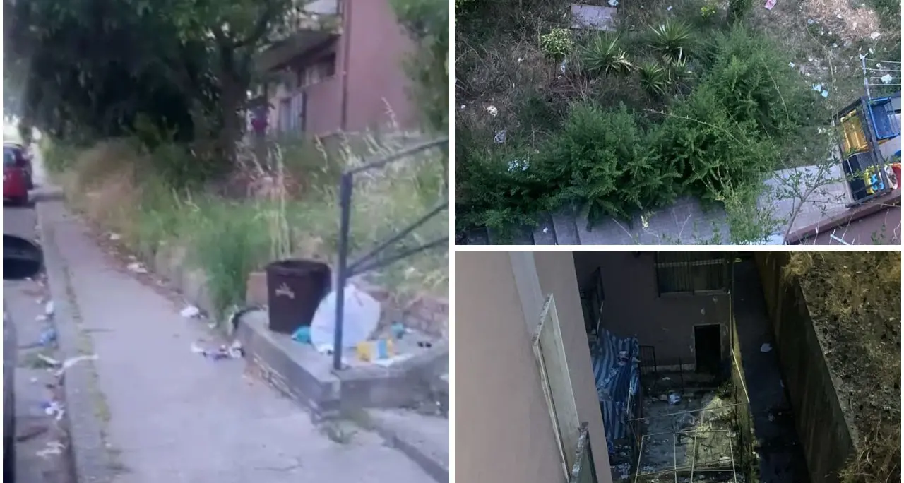 Cosenza, Serra Spiga nel degrado: «Viviamo barricati in casa tra topi e serpenti» |\u00A0VIDEO\n
