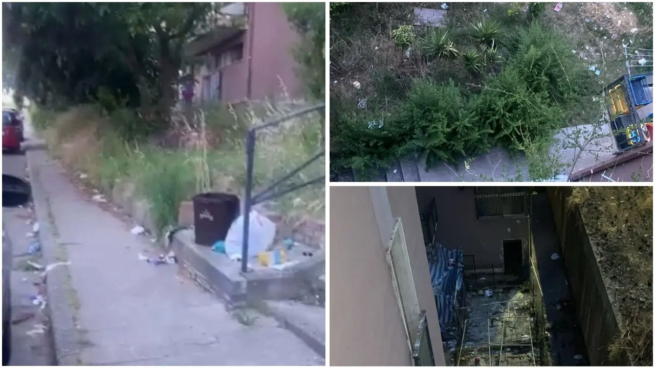 Cosenza, Serra Spiga nel degrado: «Viviamo barricati in casa tra topi e serpenti» |\u00A0VIDEO\n