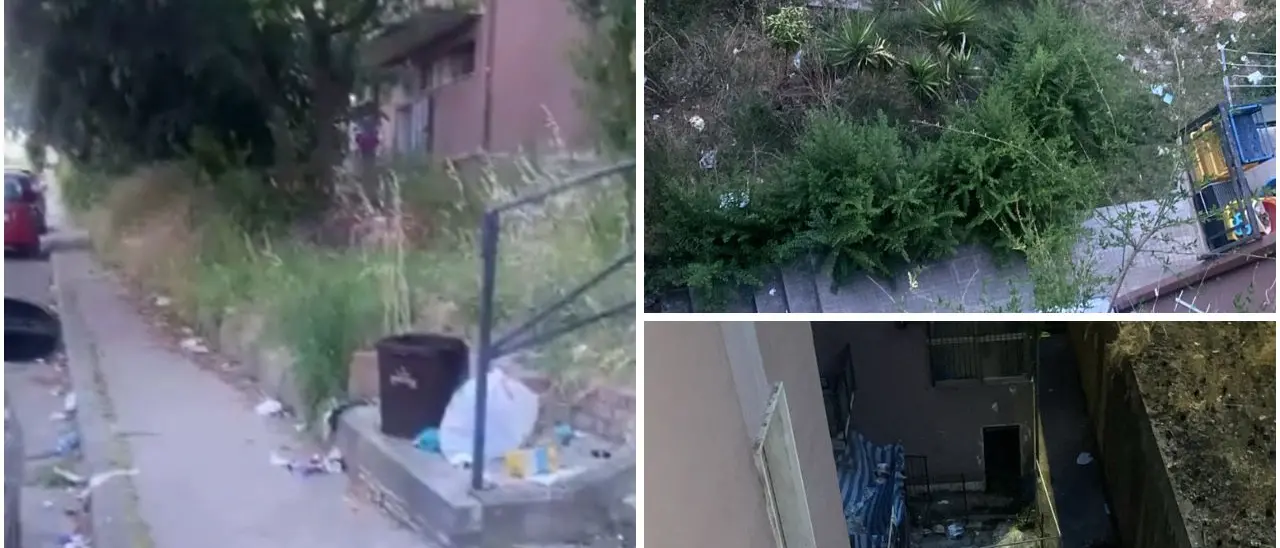 Cosenza, Serra Spiga nel degrado: «Viviamo barricati in casa tra topi e serpenti» |\u00A0VIDEO\n