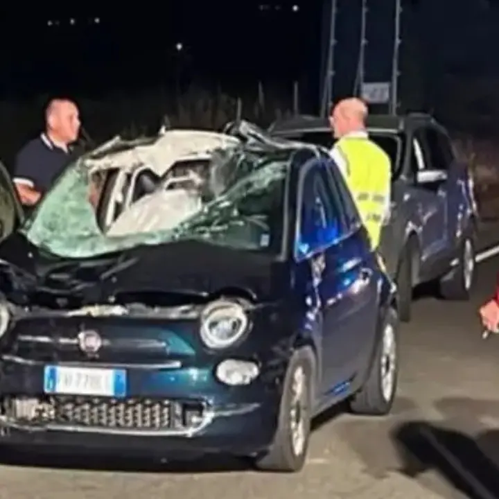 Incidente mortale sulla 107, indagati per omicidio stradale i custodi dei cavalli che vagavano sulla Statale\n