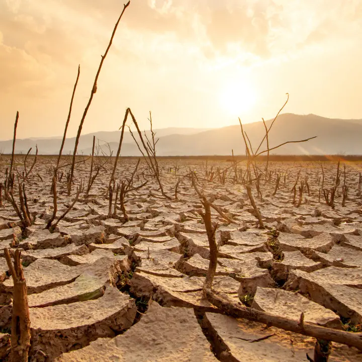 <p>Calabria sempre più calda e asciutta: nell’autunno 2025 un terzo di pioggia in meno e temperature sopra la media</p>