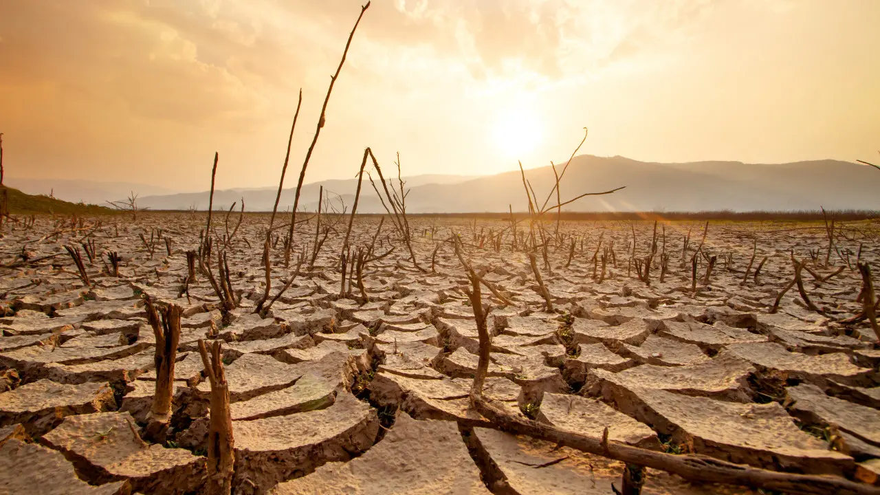 <p>Calabria sempre <span style=\"color:hsl(0, 75%, 60%);\">più calda e asciutta</span>: nell’autunno 2025 un terzo di pioggia in meno e temperature sopra la media</p>