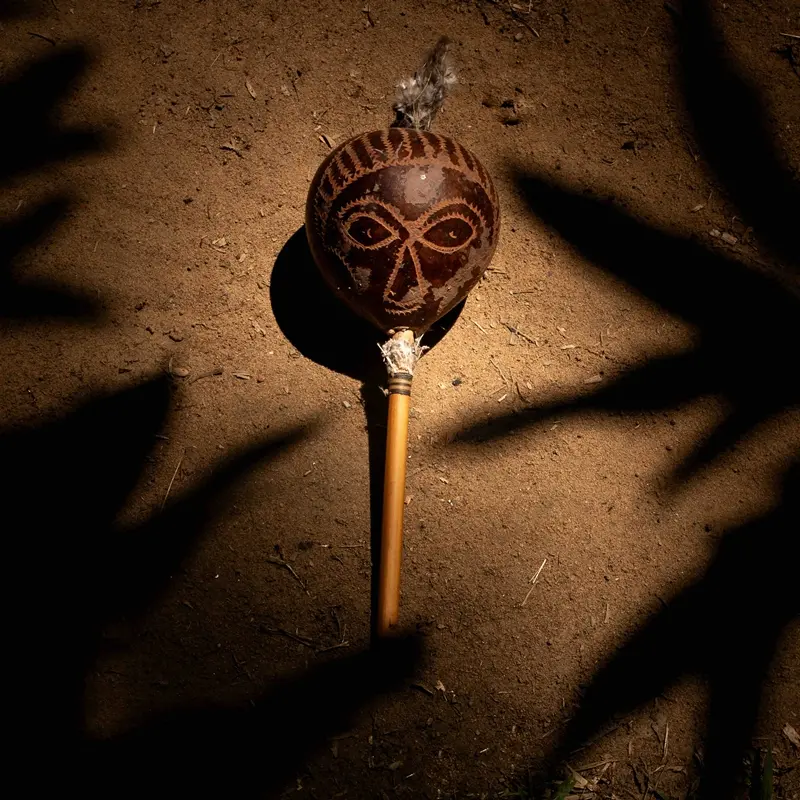 Ulteriore, alla Stazione centrale\u00A0di Reggio\u00A0la mostra fotografica di Nadia Cianelli sull'Amazzonia contemporanea\n