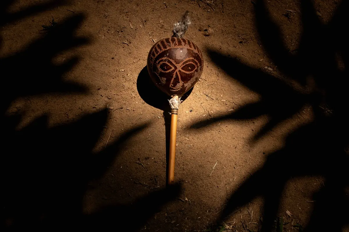 Ulteriore, alla Stazione centrale\u00A0di Reggio\u00A0la mostra fotografica di Nadia Cianelli sull'Amazzonia contemporanea\n