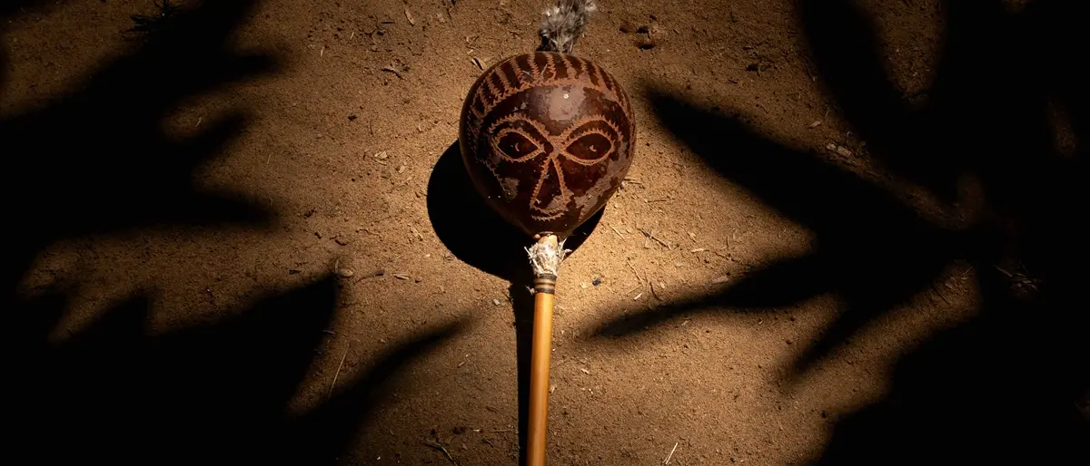 Ulteriore, alla Stazione centrale\u00A0di Reggio\u00A0la mostra fotografica di Nadia Cianelli sull'Amazzonia contemporanea\n