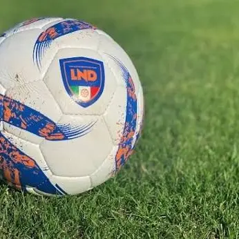 Serie D: Reggina e Vibonese si rifanno il look, Sambiase, Vigor Lamezia e Praiatortora si preparano\n