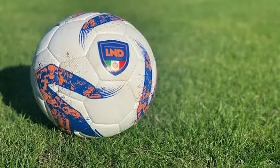 Serie D: Reggina e Vibonese si rifanno il look, Sambiase, Vigor Lamezia e Praiatortora si preparano\n