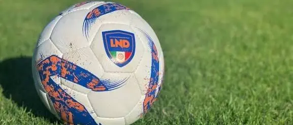 Serie D: Reggina e Vibonese si rifanno il look, Sambiase, Vigor Lamezia e Praiatortora si preparano\n