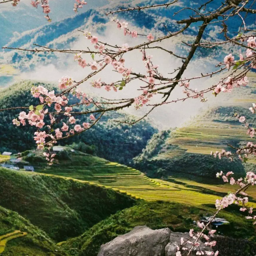 Todas las cosas bellas, a Reggio la mostra fotografica di Alejandra Hauser\n