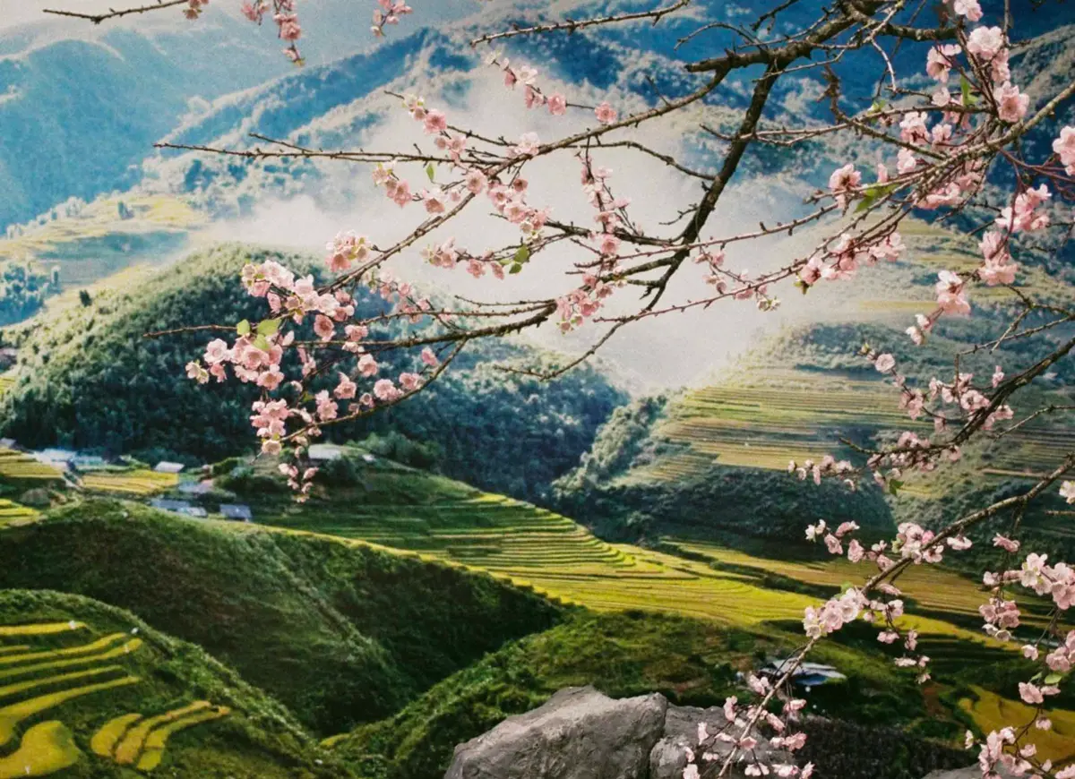 Todas las cosas bellas, a Reggio la mostra fotografica di Alejandra Hauser\n