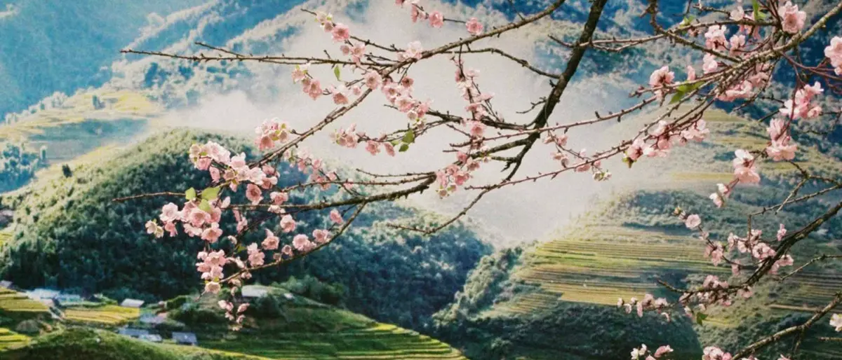 Todas las cosas bellas, a Reggio la mostra fotografica di Alejandra Hauser\n