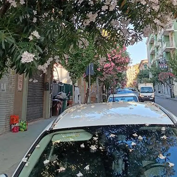 Cosenza, Fratelli d’Italia: «Assenza totale del Decoro urbano. Non c’è manutenzione»\n