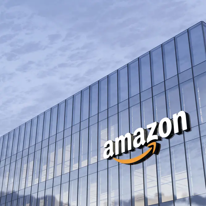 <p>’Ndrangheta, l'assalto (in 5 fasi) del clan Piromalli ad Amazon: le estorsioni e il patto con i colletti bianchi</p>