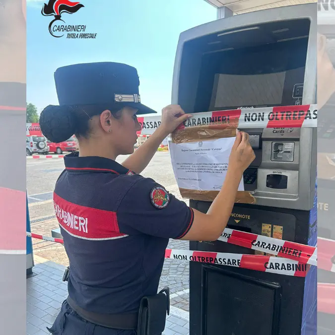 Gli scarichi del distributore di benzina\u00A0nel fiume Noce, nel Cosentino impianto sequestrato e 5 denunce\n
