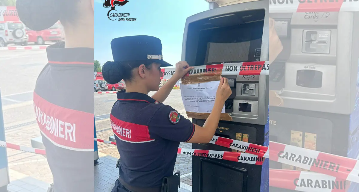 Gli scarichi del distributore di benzina\u00A0nel fiume Noce, nel Cosentino impianto sequestrato e 5 denunce\n