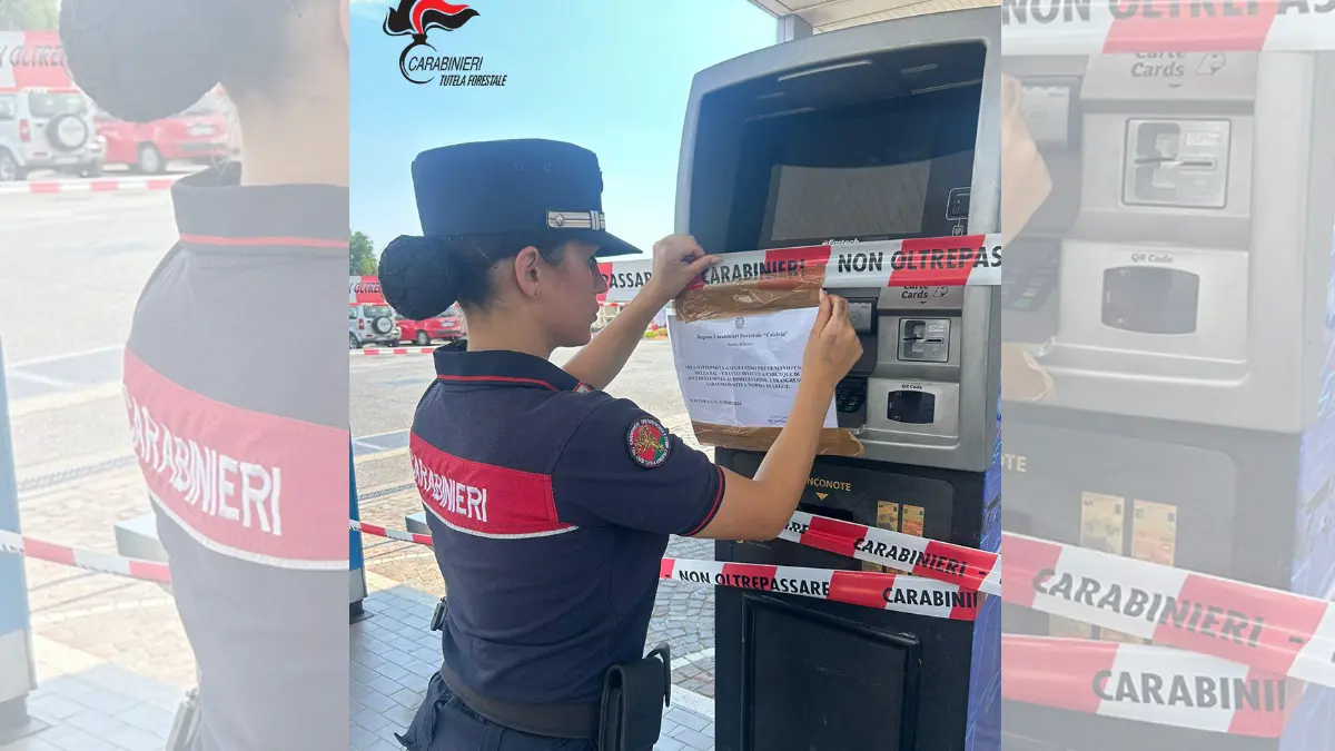 Gli scarichi del distributore di benzina\u00A0nel fiume Noce, nel Cosentino impianto sequestrato e 5 denunce\n