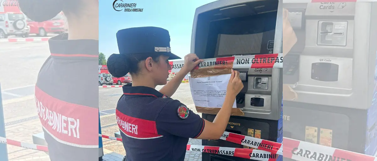 Gli scarichi del distributore di benzina\u00A0nel fiume Noce, nel Cosentino impianto sequestrato e 5 denunce\n