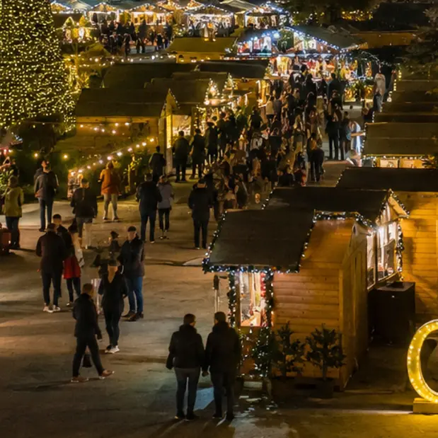 Cosenza, aperto il bando per gli espositori del \"Giardino del Natale\". Caruso: «Sarà all’altezza delle potenzialità della città»\n
