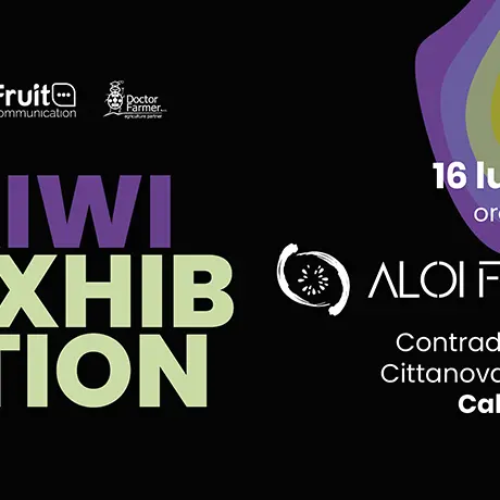 A Cittanova\u00A0una giornata tecnica dedicata a produttività, qualità e innovazione nella coltivazione del kiwi\n
